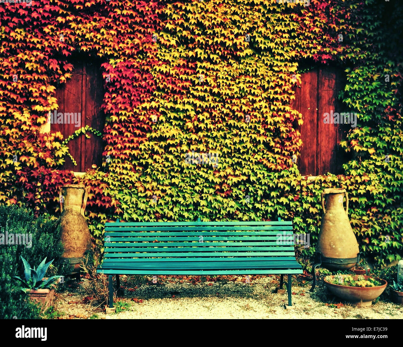 Pflanzen, Blätter, Herbst, wilde Triebe, Fassade, Stall, Bank, Sitz, Amphoren, bank Stockfoto