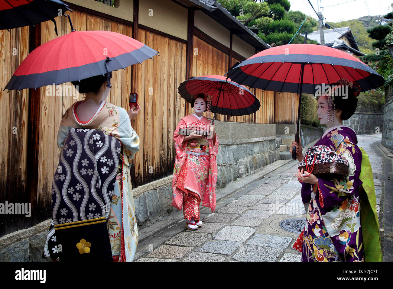 Japanische Frauen, weibliche Schönheit, Geishas, posiert für ein Foto, Gion Bereich, Kyoto, Japan, Asien. Traditionelle Geisha Make-up und Kleidung Stockfoto