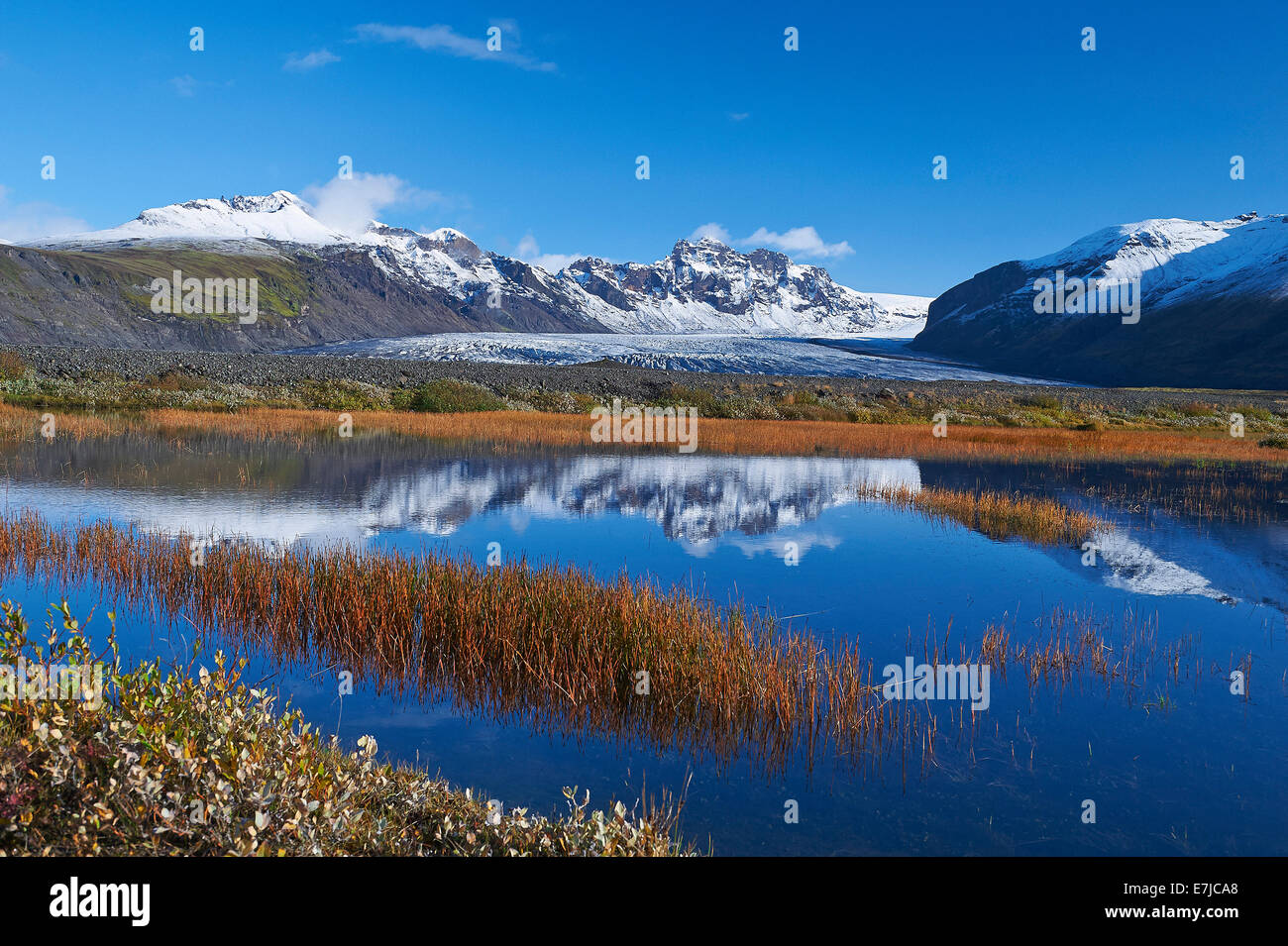 Gletscher, Island, See, Skaftafell, Reflexionen, Europa, Urlaub, Reisen, Natur, Stockfoto