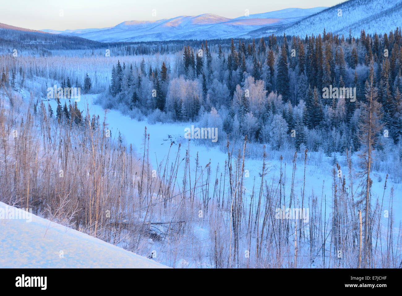 USA, USA, Amerika, Alaska, Fairbanks, Steese Highway, Landschaft, weit Nord, Winter, Landschaft, Flusstal, Gold Rush Stockfoto