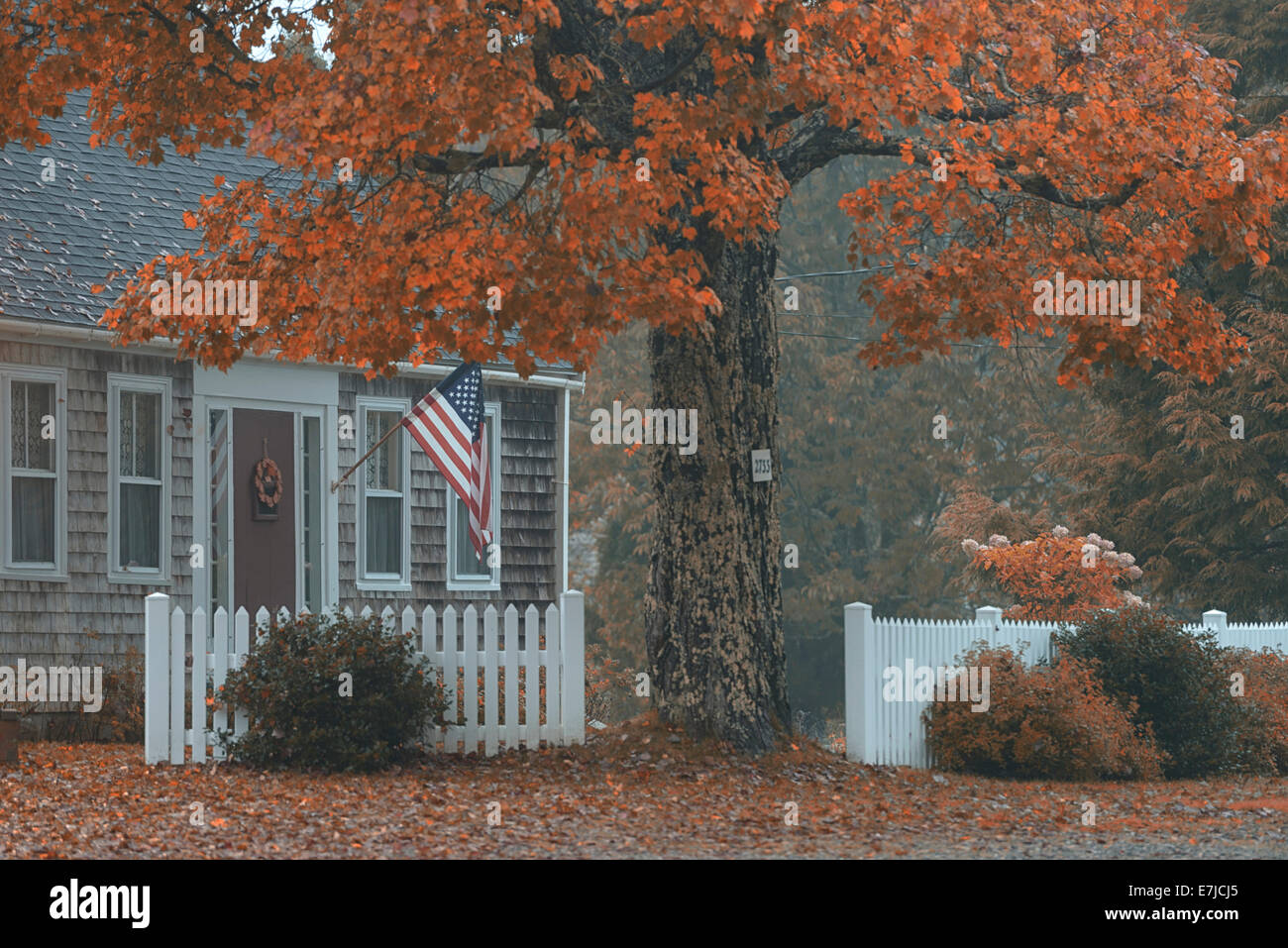 USA, USA, Amerika, Maine, Ostküste, New England, Herbst, Herbst, Indian Summer, Laub, Haus, Flagge Stockfoto