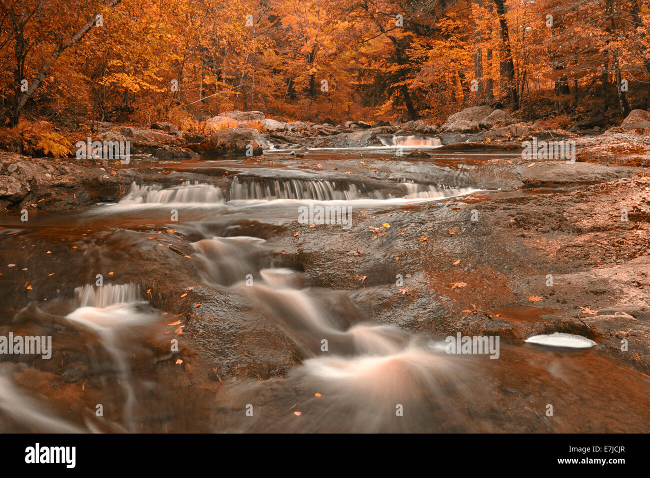 Creek, Lisbon Falls, Androscoggin County, Maine, New England, Ostküste USA, USA, Amerika, Herbst, Stockfoto