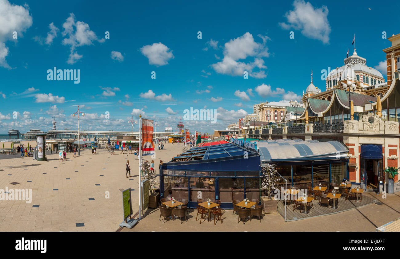 Holland, Europa, Koog Aan de Zaan, Scheveningen, Zuid-Holland, Niederlande, Stadt, Dorf, Sommer, Strand, Meer, Menschen, Meer Stockfoto