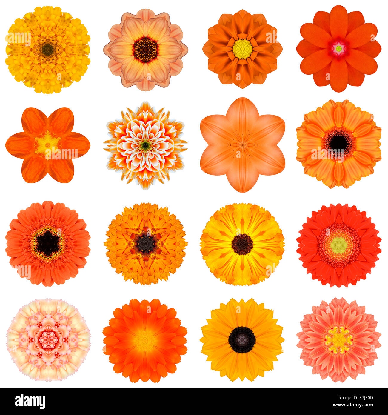 Große Sammlung von verschiedenen Orange konzentrische Muster Blumen. Kaleidoskopische Mandala-Muster, Isolated on White Background. Konzen Stockfoto