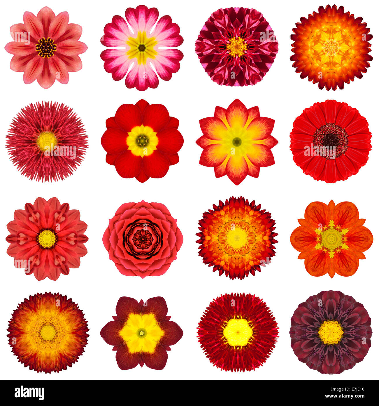 Große Sammlung von verschiedenen roten konzentrische Muster Blumen. Kaleidoskopische Mandala-Muster, Isolated on White Background. Concentri Stockfoto