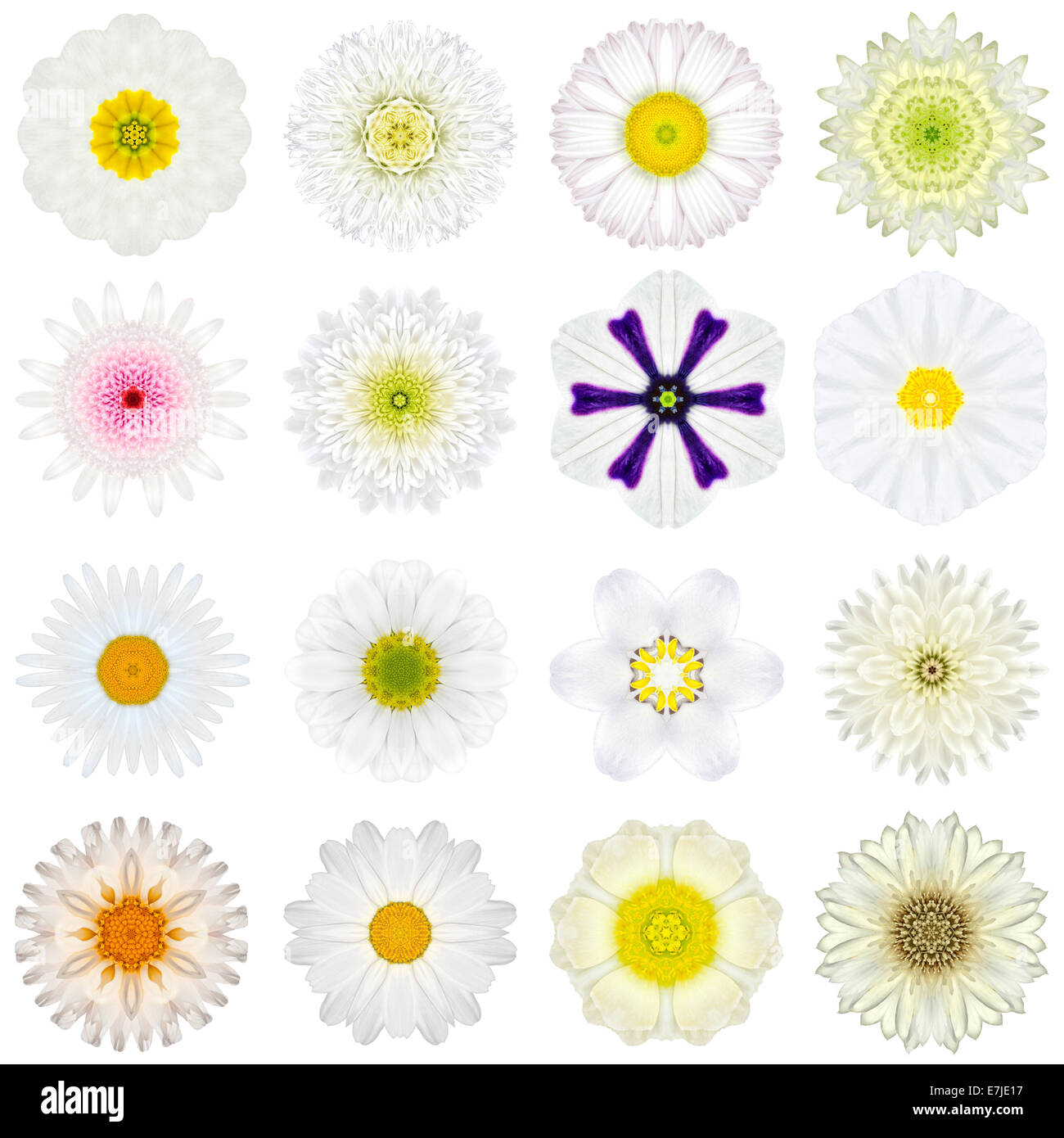 Große Sammlung von verschiedenen weißen konzentrische Muster Blumen. Kaleidoskopische Mandala-Muster, Isolated on White Background. Konzent Stockfoto