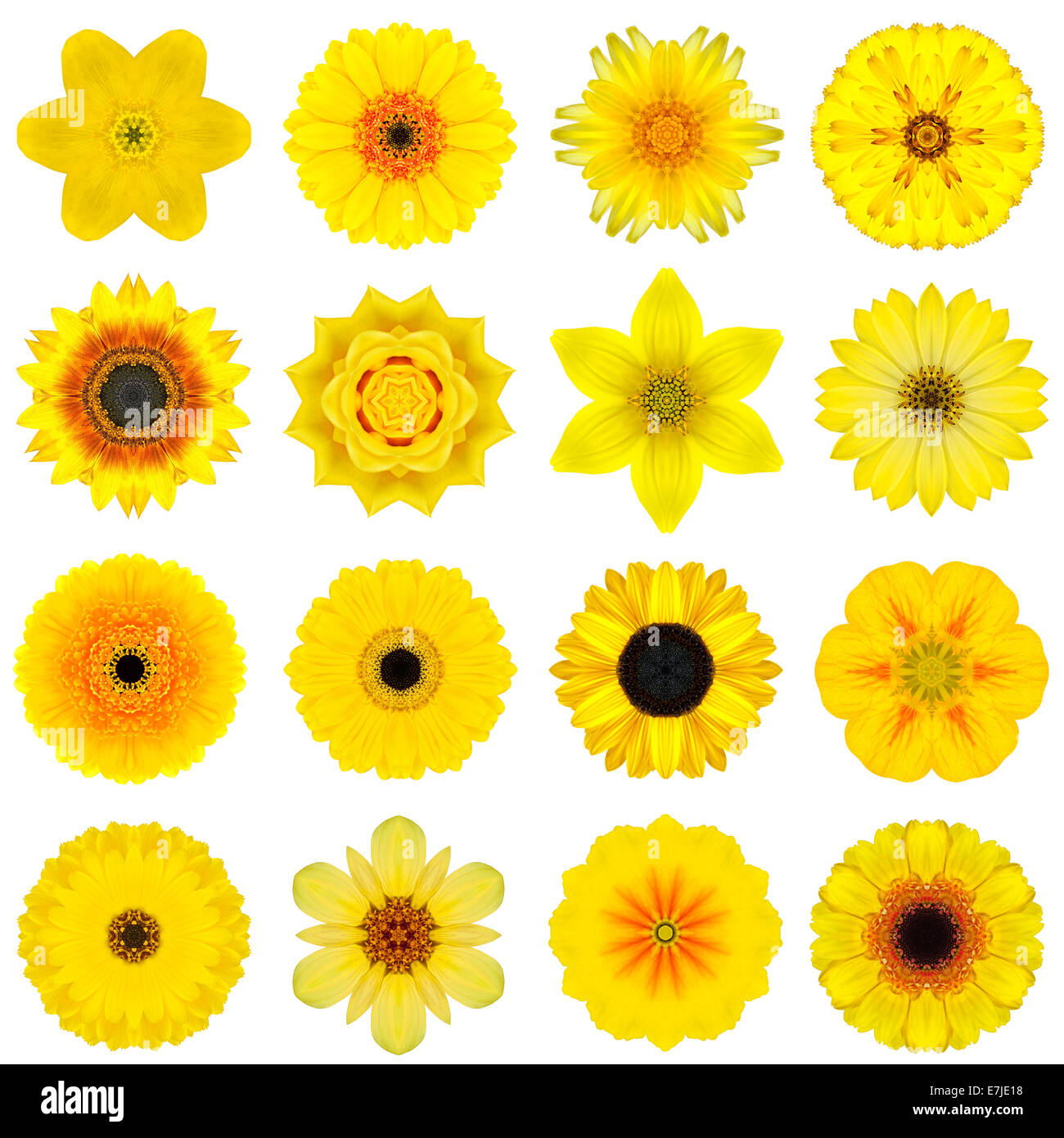 Große Sammlung von verschiedenen gelben konzentrische Muster Blumen. Kaleidoskopische Mandala-Muster, Isolated on White Background. Konzen Stockfoto