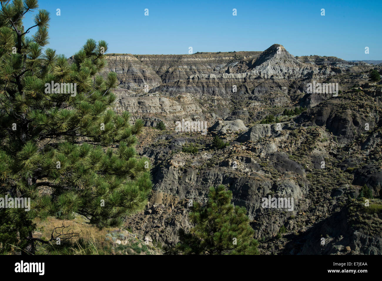 Makoshika, Landschaft, Felsen, State Parks, Montana, USA, USA, Amerika, Stockfoto