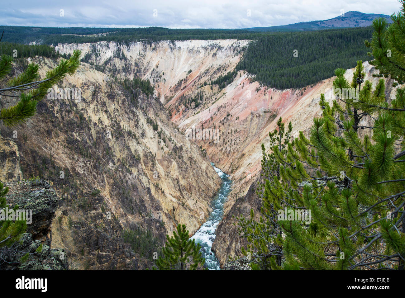 Grand Canyon des Yellowstone, Yellowstone Nationalpark, Wyoming, USA, USA, Amerika, Landschaft Stockfoto
