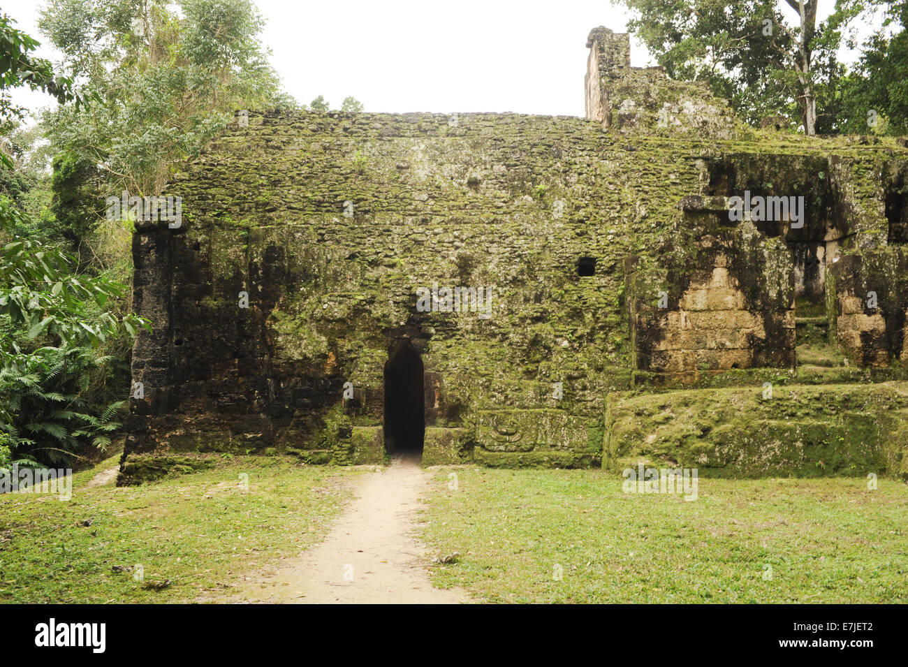 Guatemala, Mittelamerika, Petén, Acanaladuras, Akropolis, Amerika, antike, Archäologie, Architektur, Gebäude, Central, Cit Stockfoto