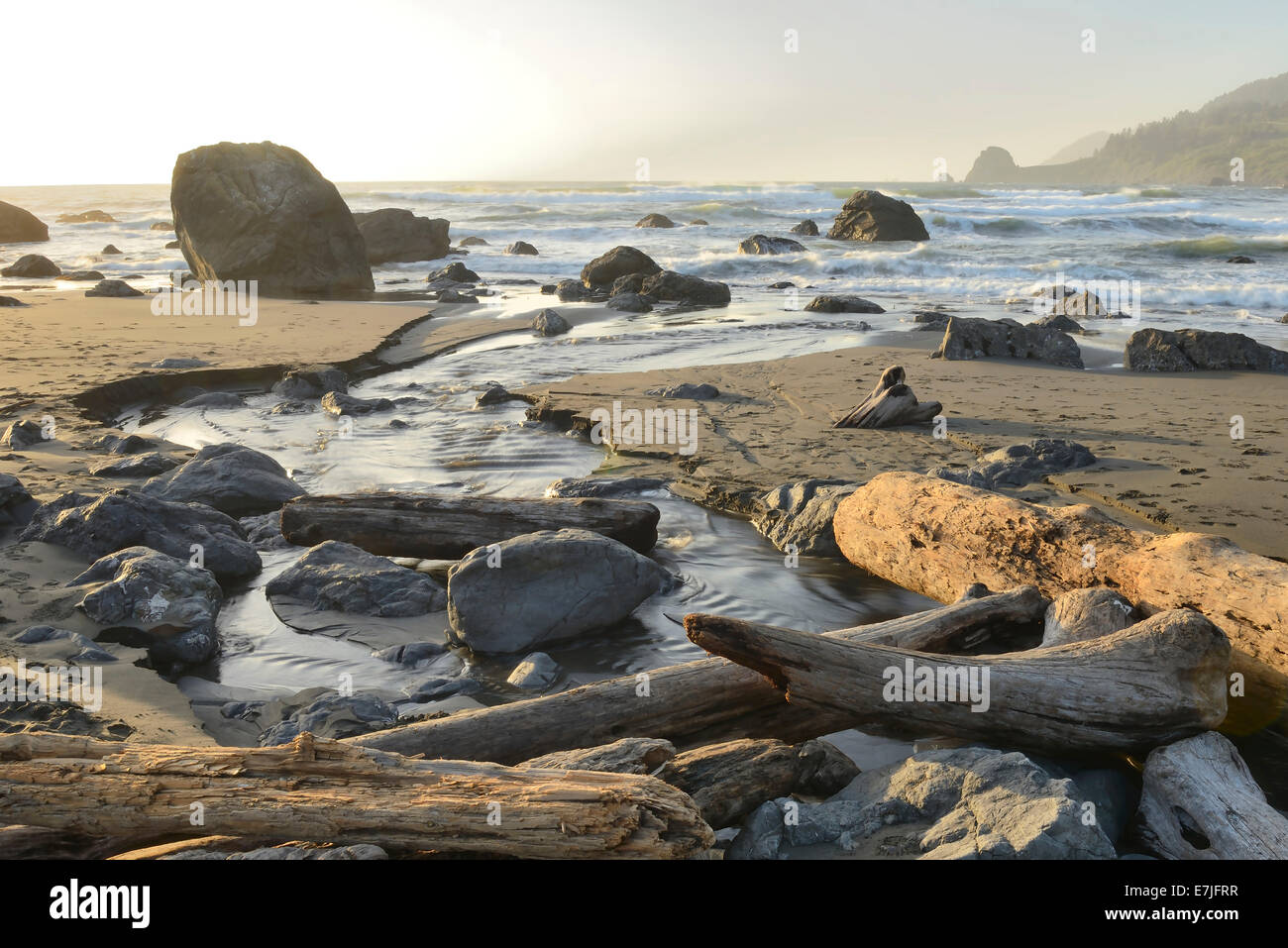 USA, USA, Amerika, Kalifornien, Norden, Küste, Meer, Pazifikküste, Creek, Strand, Landschaft, keine Menschen, Wild, Stockfoto