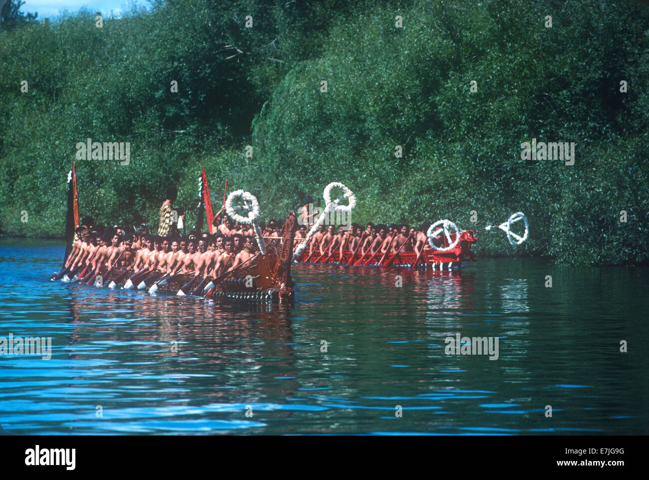 Ngaruawahia neuseeland Fotos und Bildmaterial in hoher Auflösung Alamy