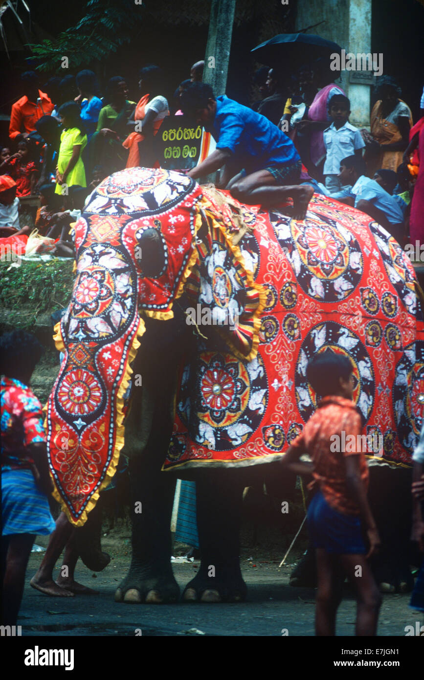Kandy esala perahera festival Fotos und Bildmaterial in hoher