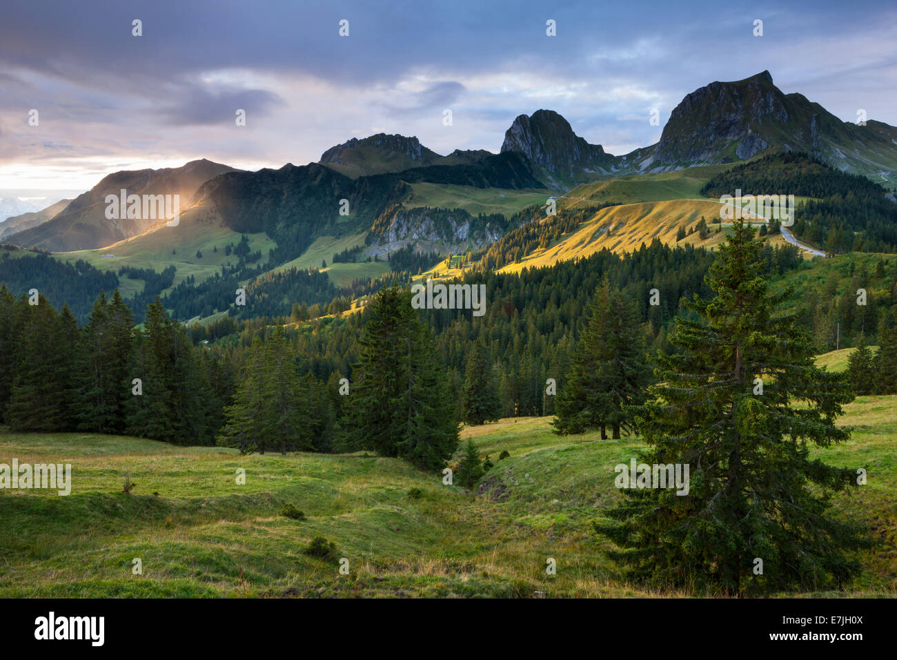Blick vom Gurnigel, Schweiz, Europa, Kanton Bern, Berner Oberland, Gurnigel, Gantrisch Gebiet Natur Reservat, Gantrisch, Mo Stockfoto