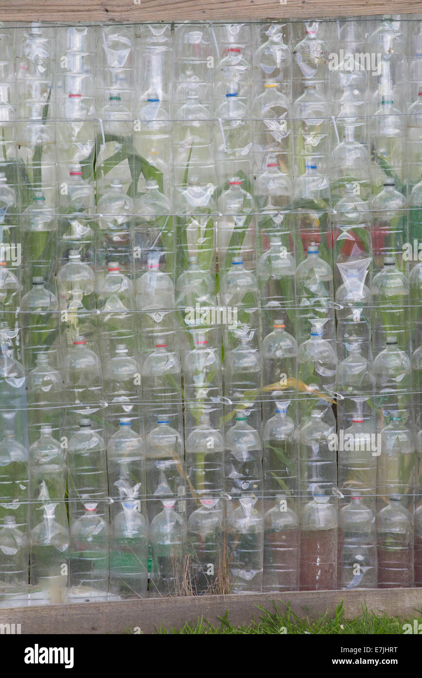 Gewächshaus aus recycelten Plastikflaschen hergestellt. Stockfoto