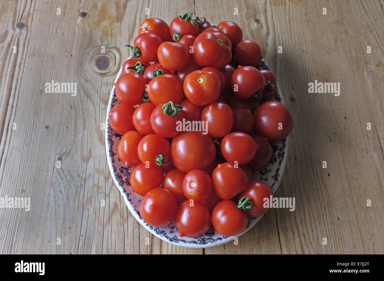 Eine Schüssel voll mit selbst angebauten Tomaten Stockfoto