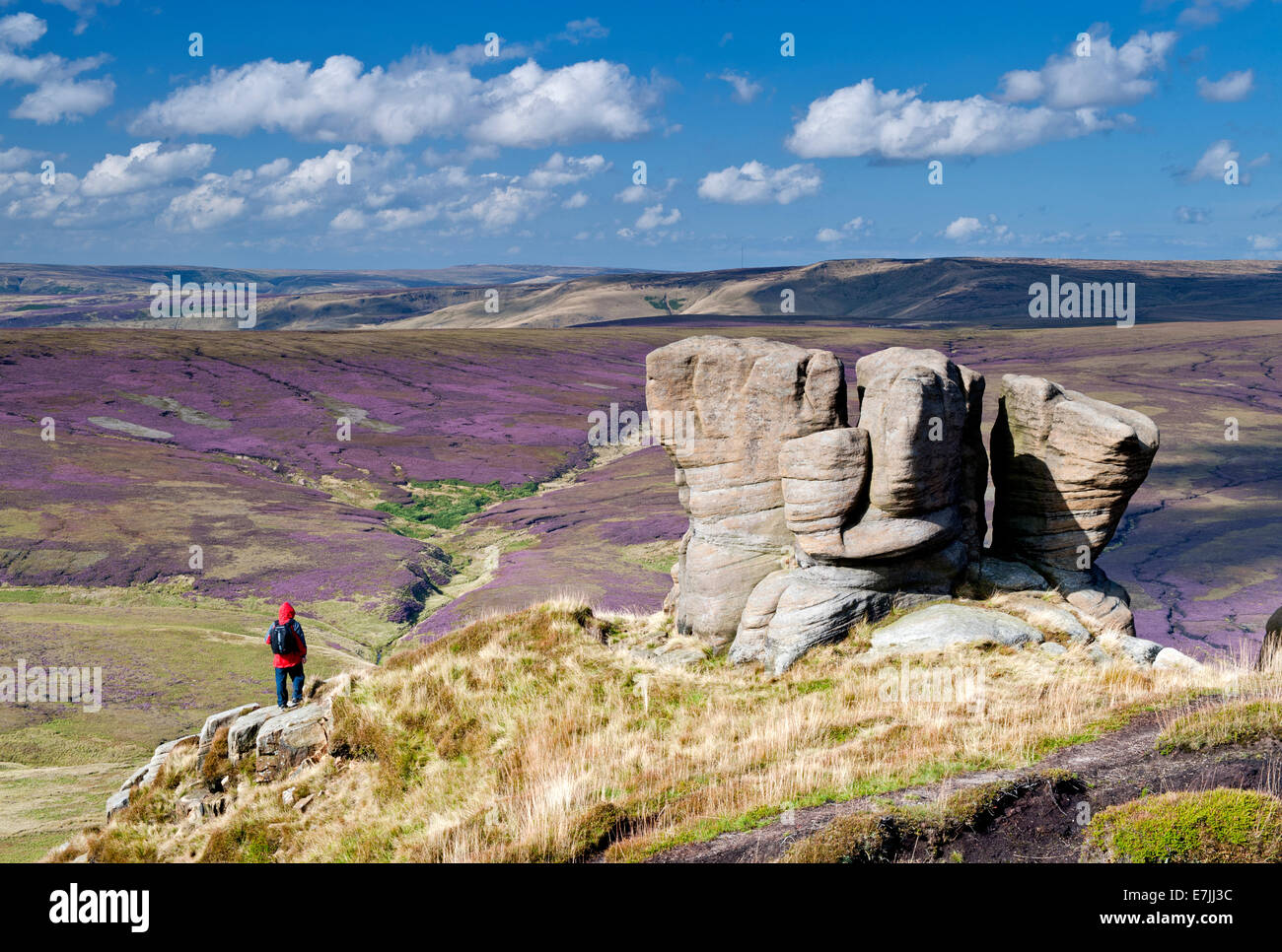 Walker auf freundlichere Scouts Nordrand, mit Blick auf Ashop Moor, Peak District National Park, Derbyshire, England, Vereinigtes Königreich Stockfoto