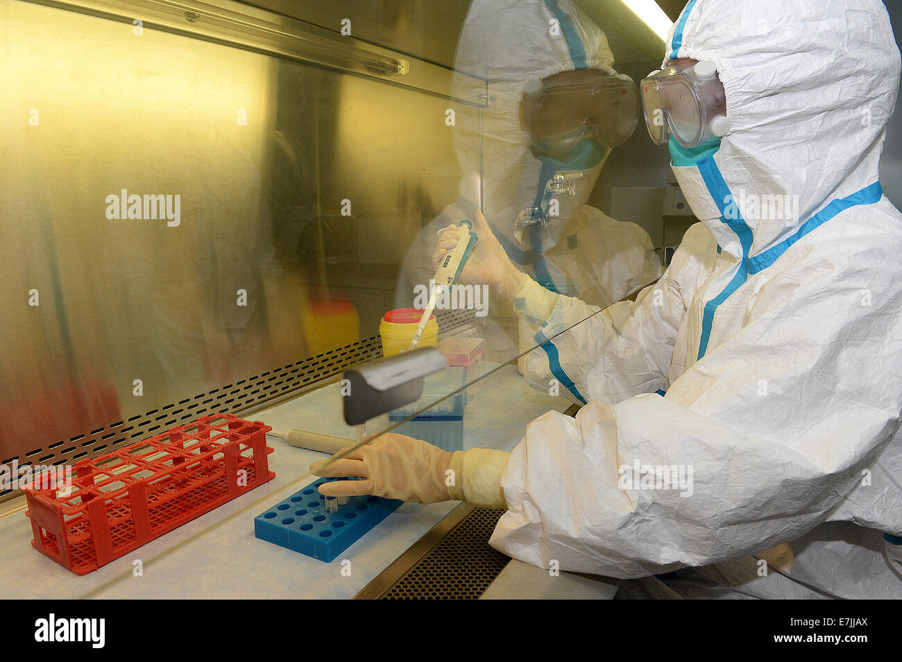 Peking, China. 19. Sep, 2014. Ein Forscher arbeitet im chinesischen Center für Disease Control and Prevention (CDC) in Peking, Hauptstadt von China, 19. September 2014. Chinesisch-Center for Disease Control and Prevention gab am Freitag bekannt, dass eine Diagnose-Kit für Ebolavirus erfolgreich entwickelt wurde und es bald in Sierra Leone angewendet werden würde. Bildnachweis: He Junchang/Xinhua/Alamy Live-Nachrichten Stockfoto