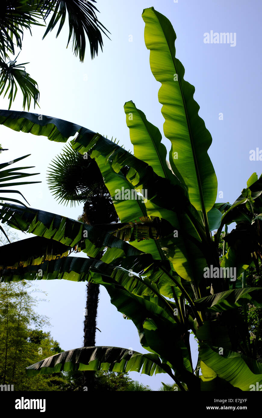 Andre Heller Botanischer Garten In Gardone Rivera Am Gardasee