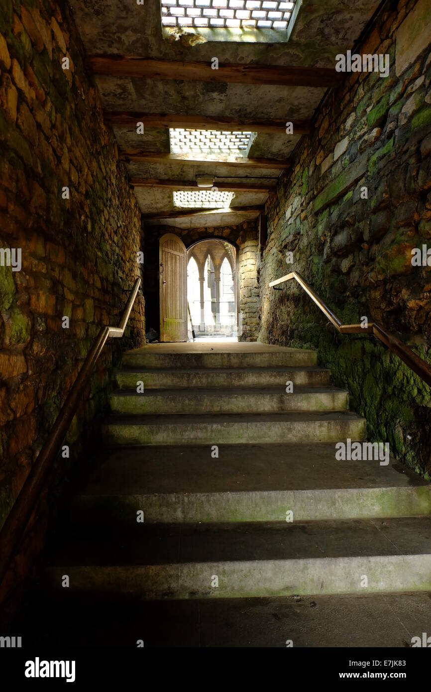 Ansicht der Treppe nach oben auf eine Sonne beleuchtet Tür, alten feuchten grünen Steinmauern beiderseits, Ströme von Licht vom Himmel leuchten. Stockfoto