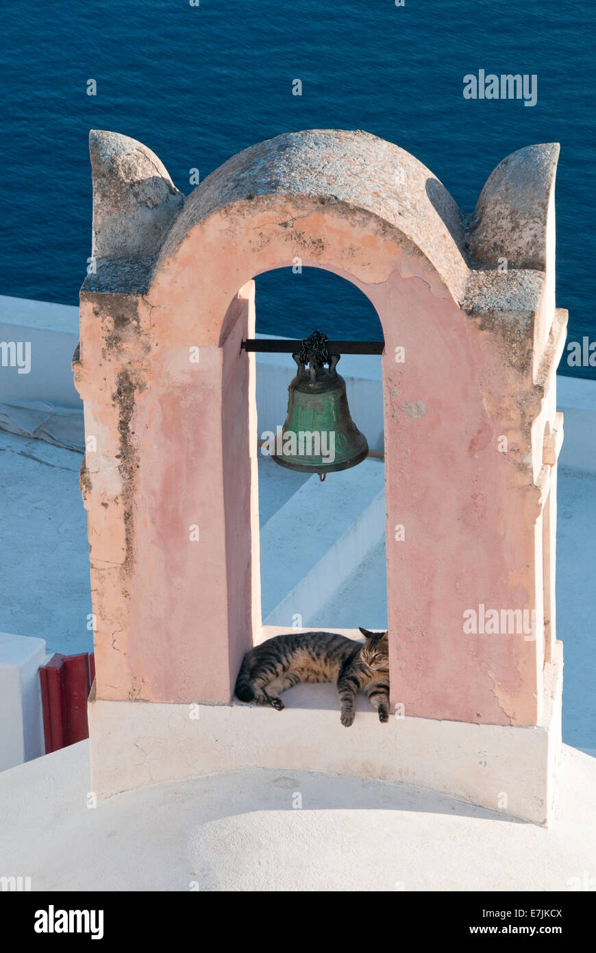 Katze im Glockenturm, Dorf Oia, Oia, Santorini, Kykladen, griechische Inseln, Griechenland, Europa Stockfoto
