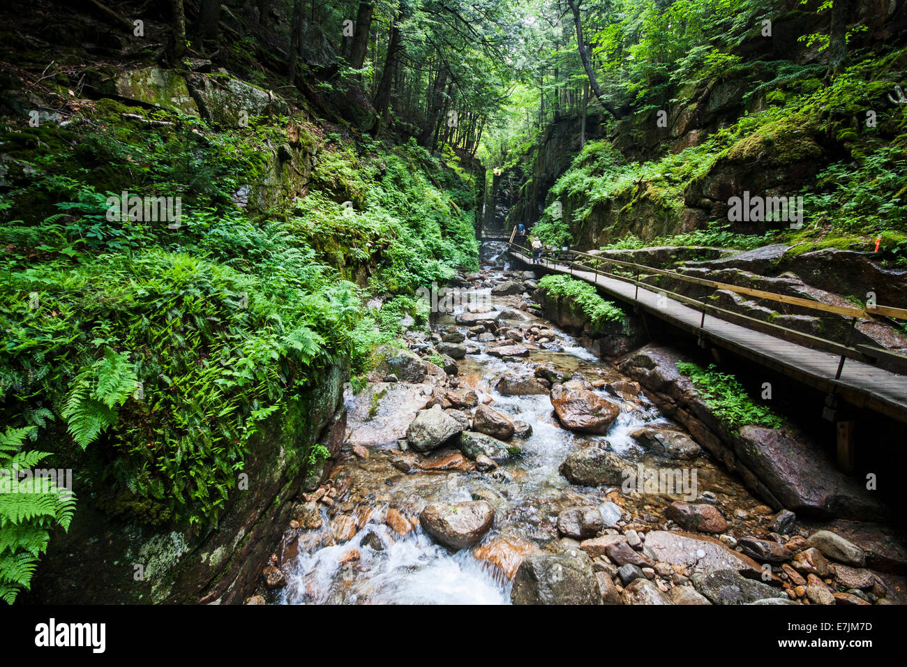 Flume Gorge Newhampshire. Flume Gorge, Lincoln, New Hampshire, Franconia Notch State Park Stockfoto