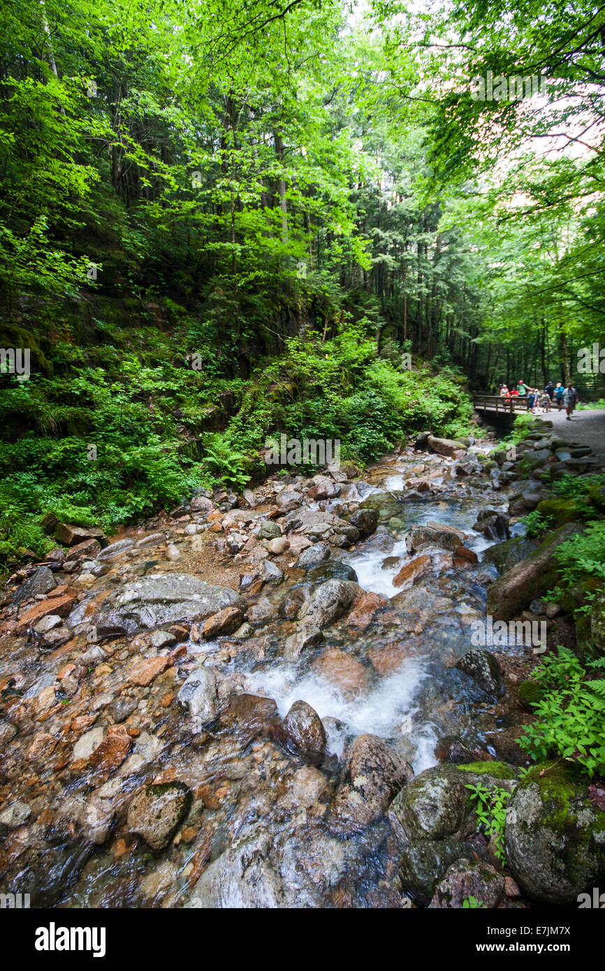 Flume Gorge Newhampshire. Flume Gorge, Lincoln, New Hampshire, Franconia Notch State Park Stockfoto