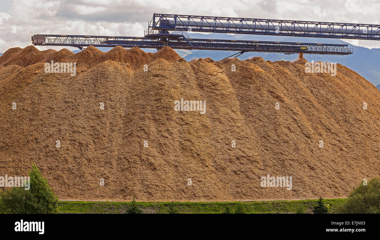 Große Holz-Chip verarbeitenden Anlage in den Bergen Stockfoto