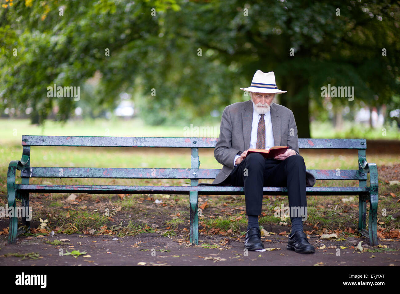 ältere Mann liest ein Buch auf einer Parkbank Stockfoto