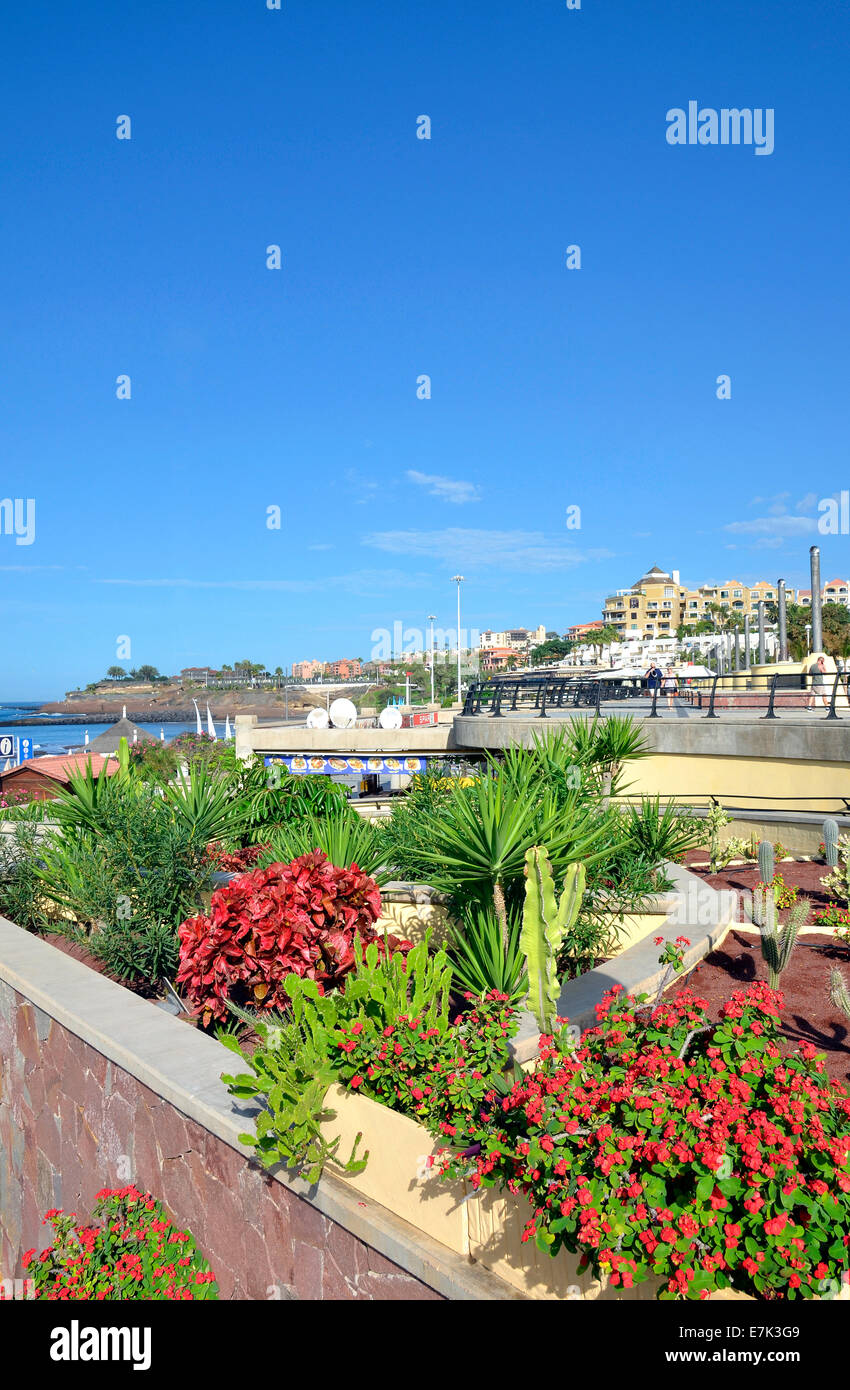 Der Ferienort Puerto Colon an der Costa Adeje auf Teneriffa, Kanarische Inseln Stockfoto