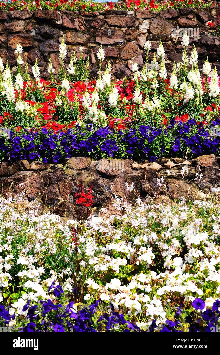 Terrassierte Beete mit Snapdragon, Petunien, Begonien und Geranien. Stockfoto