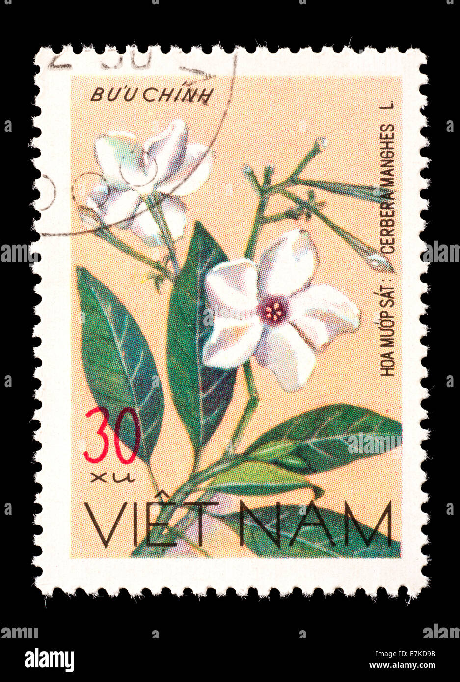 Briefmarke aus Vietnam Darstellung Meer Mango Blumen (Cerbera Manghas) Stockfoto