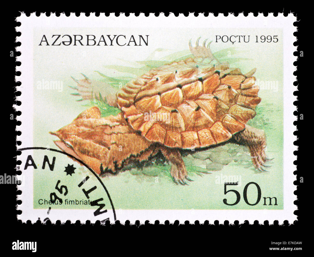 Briefmarke aus Aserbaidschan, die Darstellung einer Matamata Schildkröte (Chelus Fimbriatus) Stockfoto
