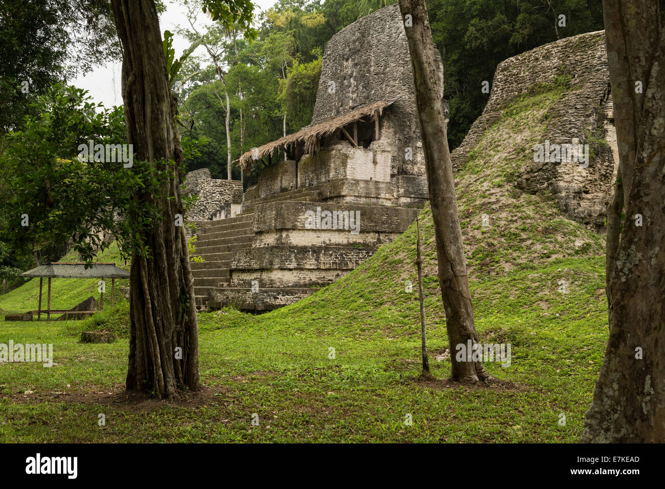 Mundo Perdido, Tikal Nationalpark El Petén, Guatemala Stockfoto