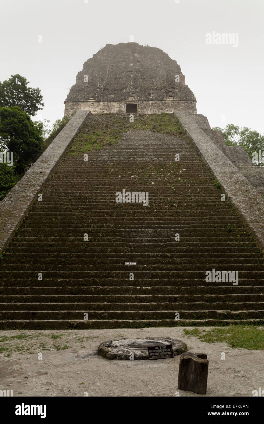 Tempel IV, der höchste Tempel im Tikal National Park, El Petén, Guatemala Stockfoto