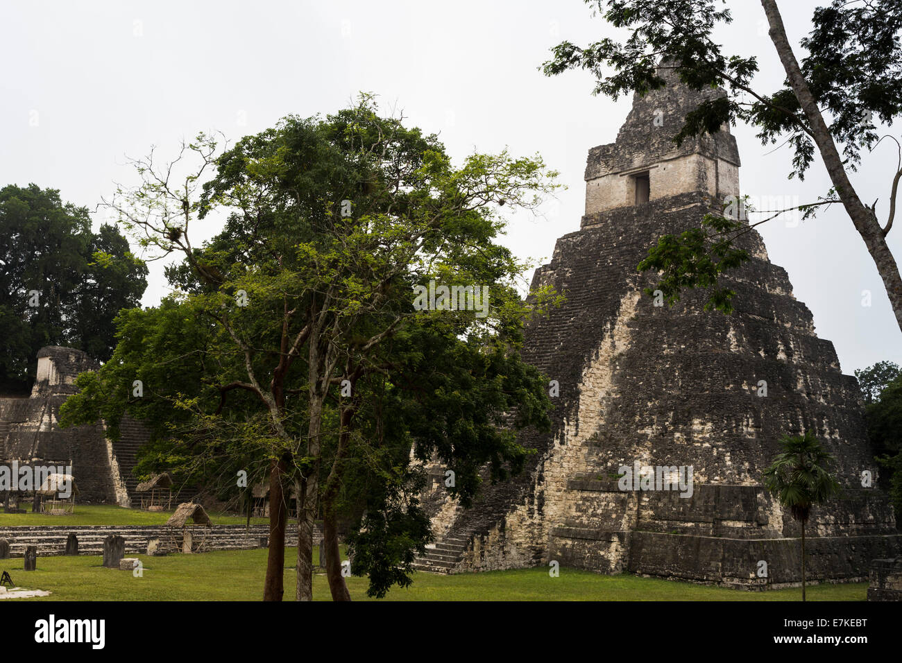 Tempel 1 (Jaguar Tempel) große Plaza, Tikal Nationalpark El Petén, Guatemala Stockfoto