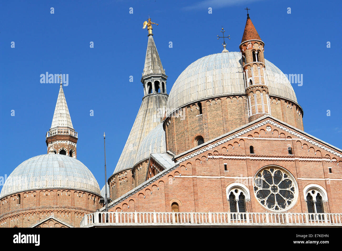 Basilika des Heiligen Antonius von Padua, Padua, Italien Stockfoto