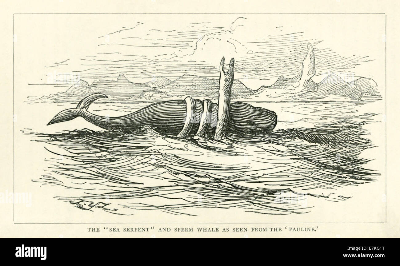 Sea Serpent und Pottwal auf 8. Juli 1875 von der Bark Pauline gesehen. Siehe Beschreibung für mehr Informationen. Stockfoto