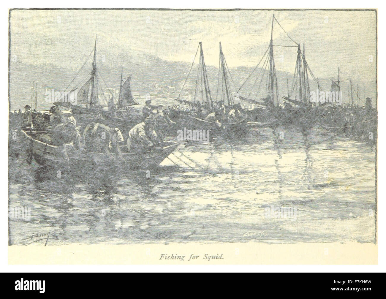 Diese Abbildung aus dem Jahr 1885 zeigt die Aktivität des Tintenfischens in St. Pierre und zeigt die maritime Kultur der Region. Das Kunstwerk beleuchtet die Fangtechniken und das tägliche Leben der lokalen Bevölkerung. Stockfoto