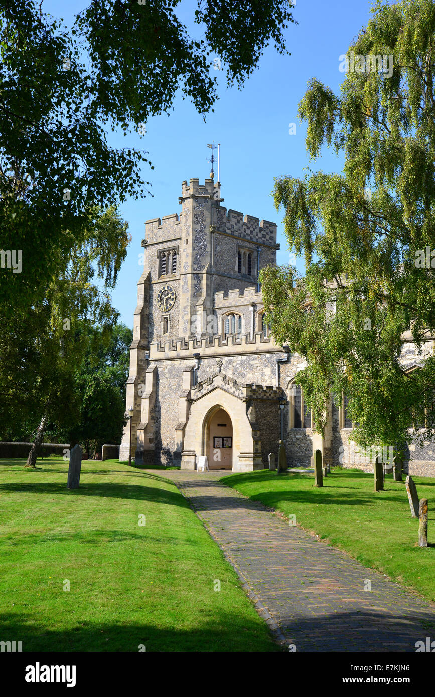 Die Kirche des Heiligen Petrus & Paul, Tring, Hertfordshire, England, Vereinigtes Königreich Stockfoto