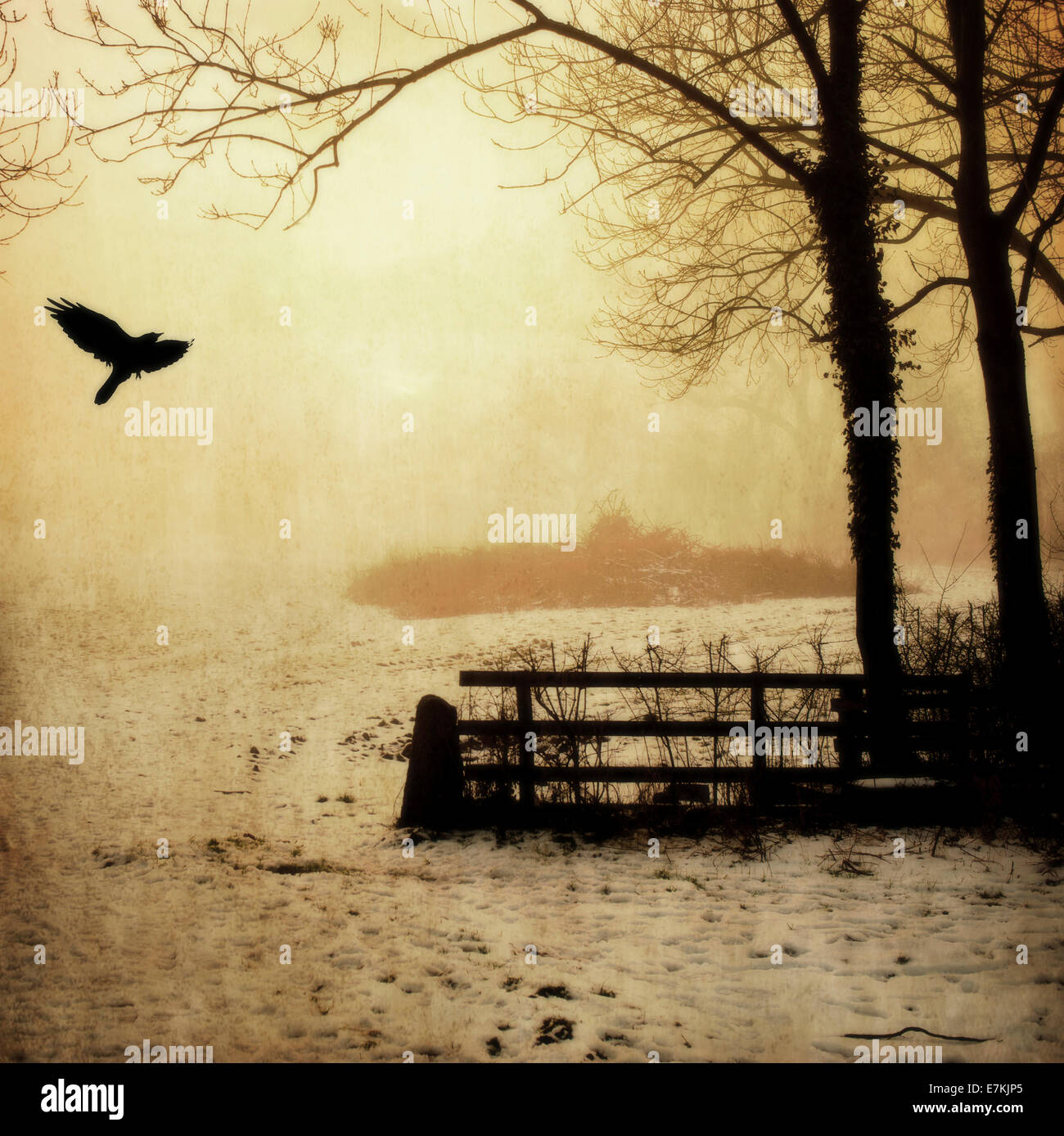 Tiefster Winter Stockfoto