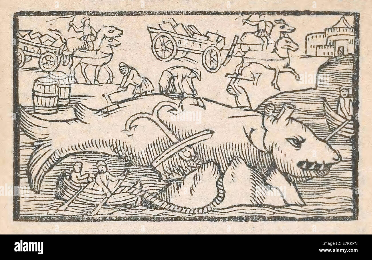 Monströse Wal wird geschnitzt, illustriert von Olaus Magnus veröffentlicht (1490-1557) in 1555. Siehe Beschreibung für mehr Informationen. Stockfoto