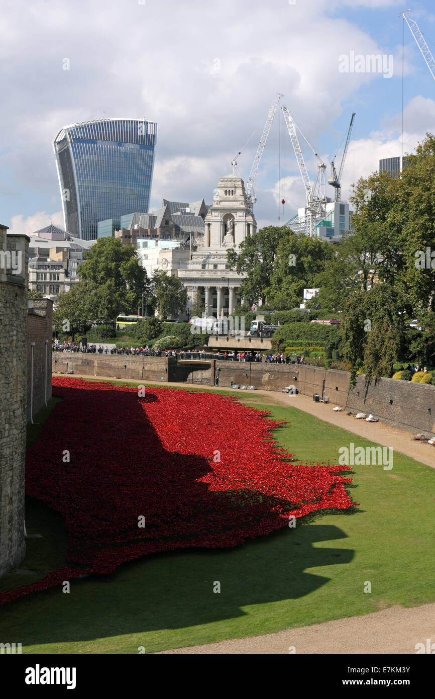 Erinnerung-Mohn im Tower von London, England, Vereinigtes Königreich. Stockfoto