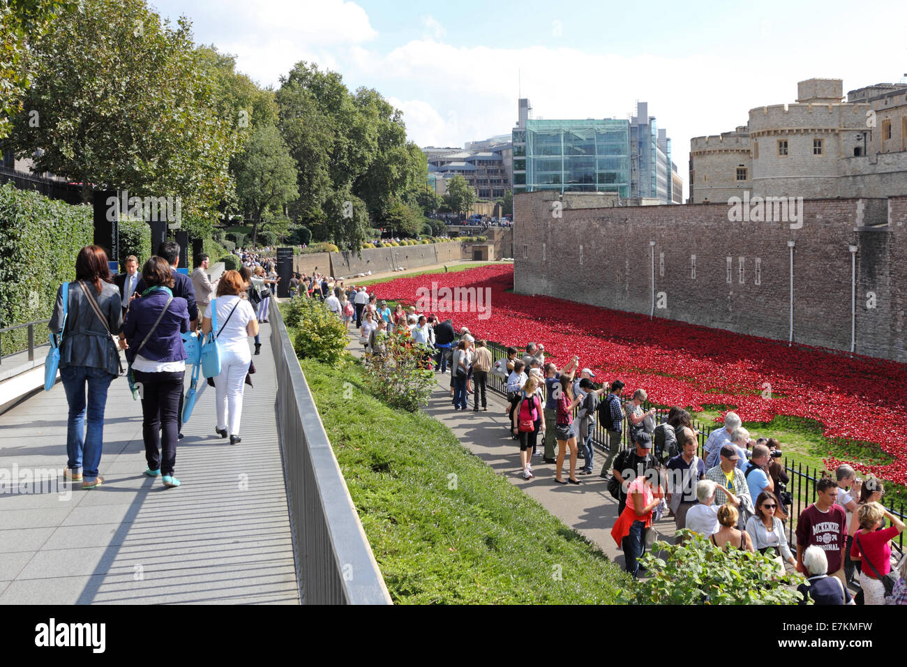 Erinnerung-Mohn im Tower von London, England, Vereinigtes Königreich. Stockfoto