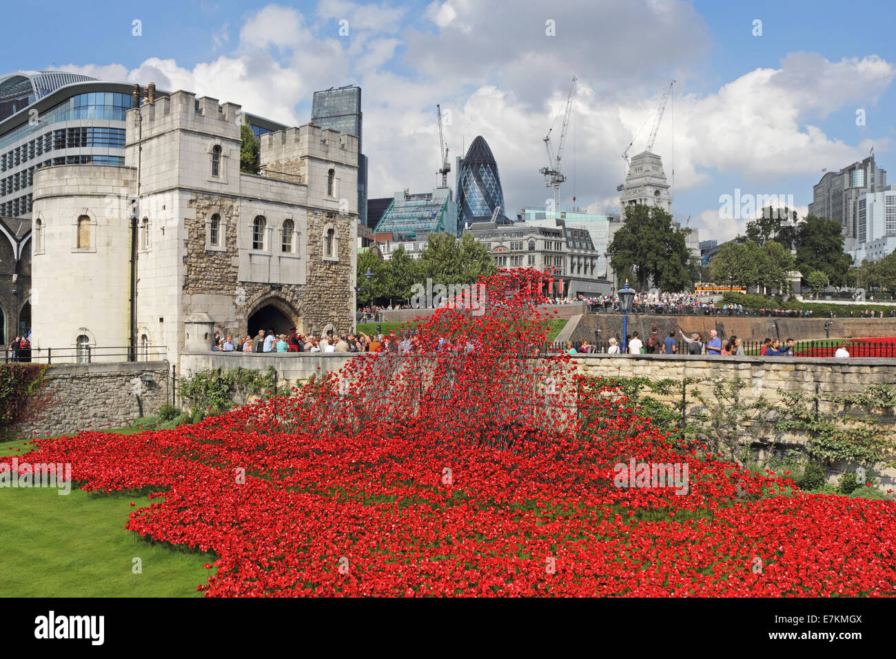Erinnerung-Mohn im Tower von London, England, Vereinigtes Königreich. Stockfoto