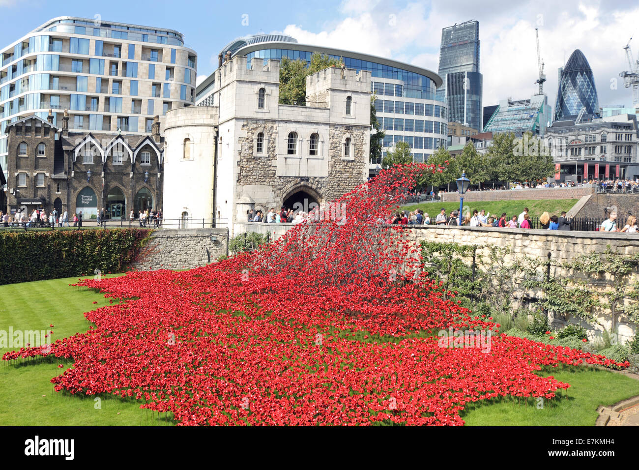 Erinnerung-Mohn im Tower von London, England, Vereinigtes Königreich. Stockfoto