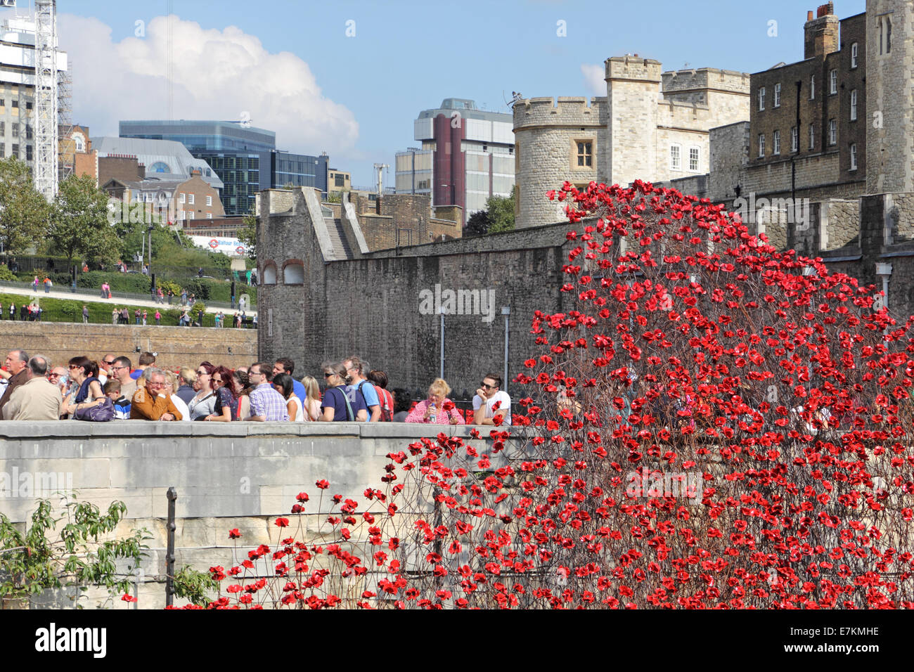 Erinnerung-Mohn im Tower von London, England, Vereinigtes Königreich. Stockfoto