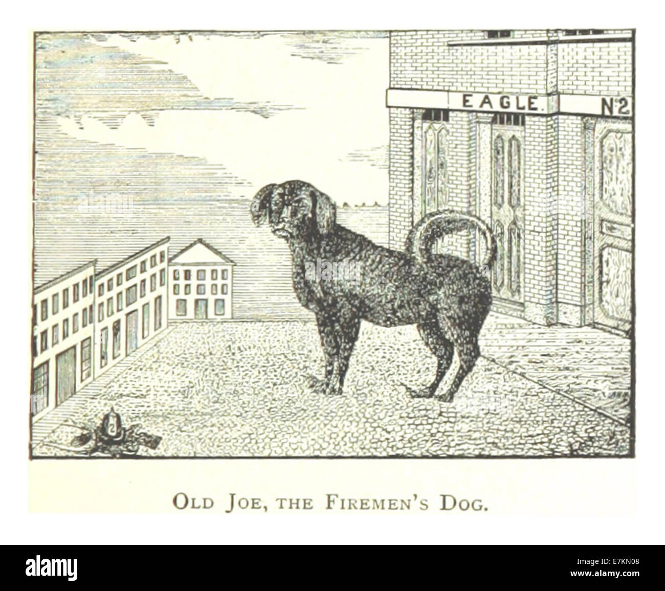 Farmer(1884) Detroit, p563 "OLD JOE", der Feuerwehr Hund Stockfoto