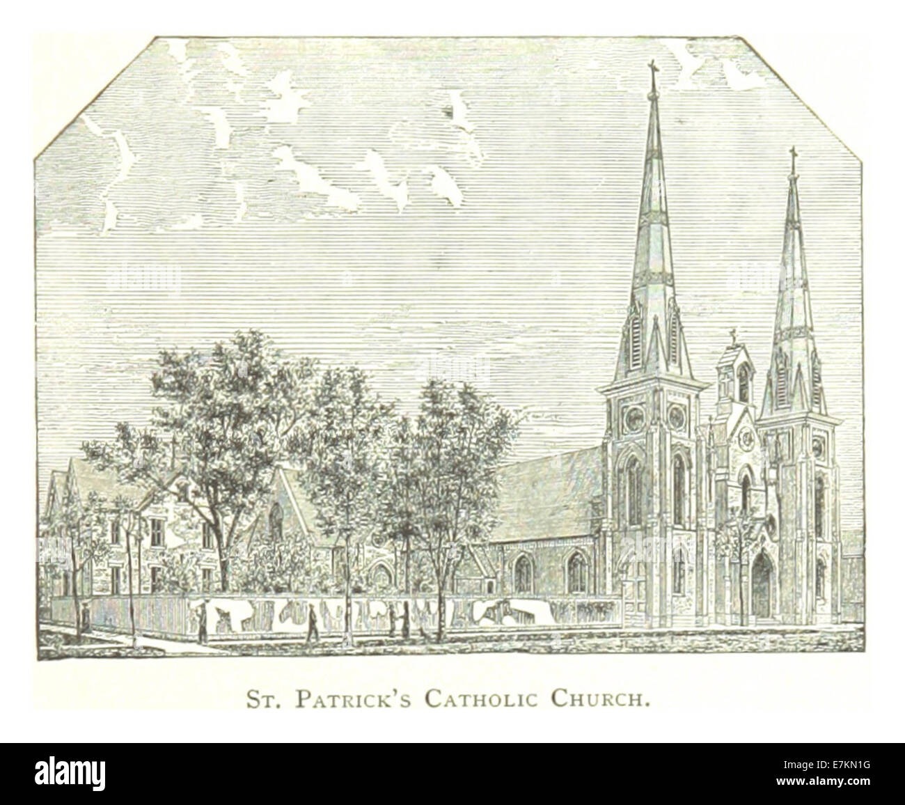 Diese 1884 entstandene Illustration aus der Sammlung von Farmer's Detroit zeigt die St. Patrick's Catholic Church und hebt ihren architektonischen Stil und ihre Bedeutung als wichtige religiöse und kulturelle Institution in Detroit hervor. Stockfoto