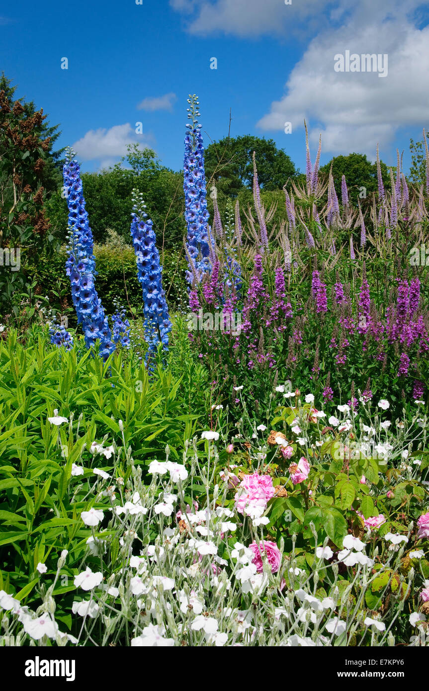 Blumenbeet im englischen Cottage-Garten, Devon, UK. Stockfoto
